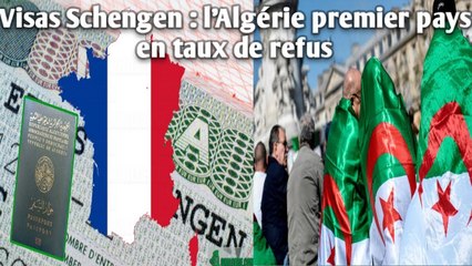 Visas Schengen : l’Algérie premier pays en taux de refus.