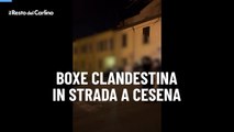 Boxe clandestina in strada a Cesena
