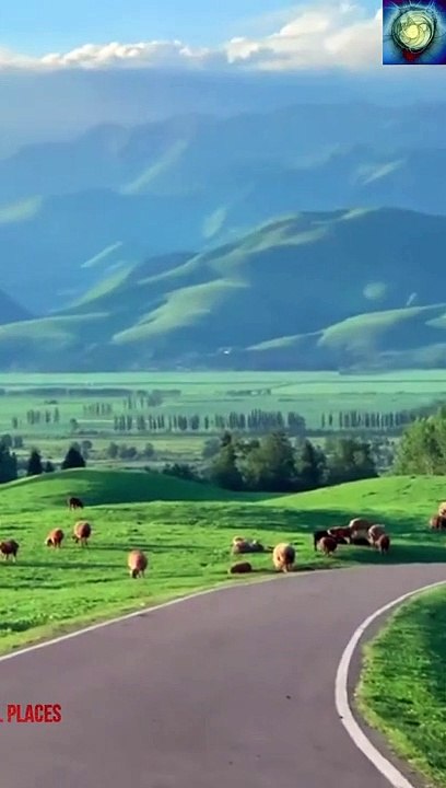 Beautifull World