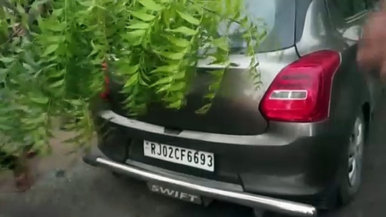 पेड़ टूट कर गिर गया
