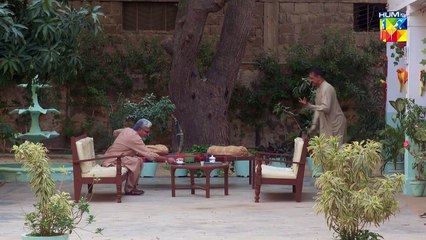 Khoobsurat Aurat Ki Ek Muskurahat Ki Qeemat !! #mariawasti #zainbaig #zainabshabbir - Fareb