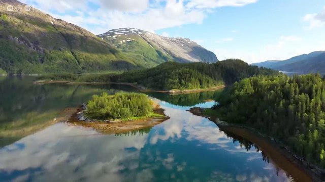 Music heals the heart and blood vessels Calming music restores the nervous system, relaxing