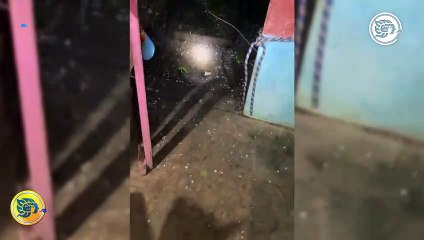 ¡Del calor al granizo! Granizada sorprende a habitantes de Mundo Nuevo
