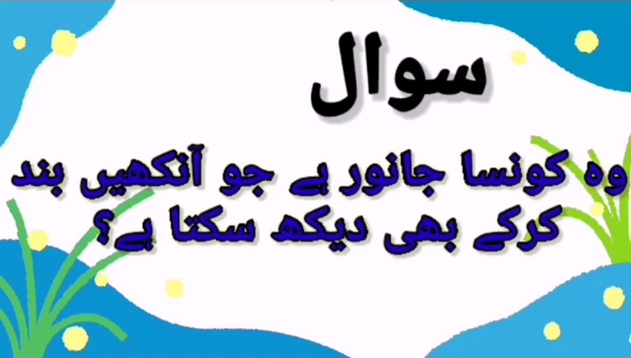 General knowledge question   do  know