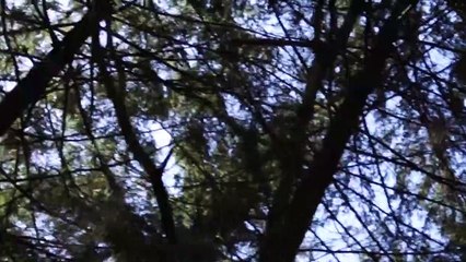 The Gift Of The Depraved | movie | 2023 | Official Trailer