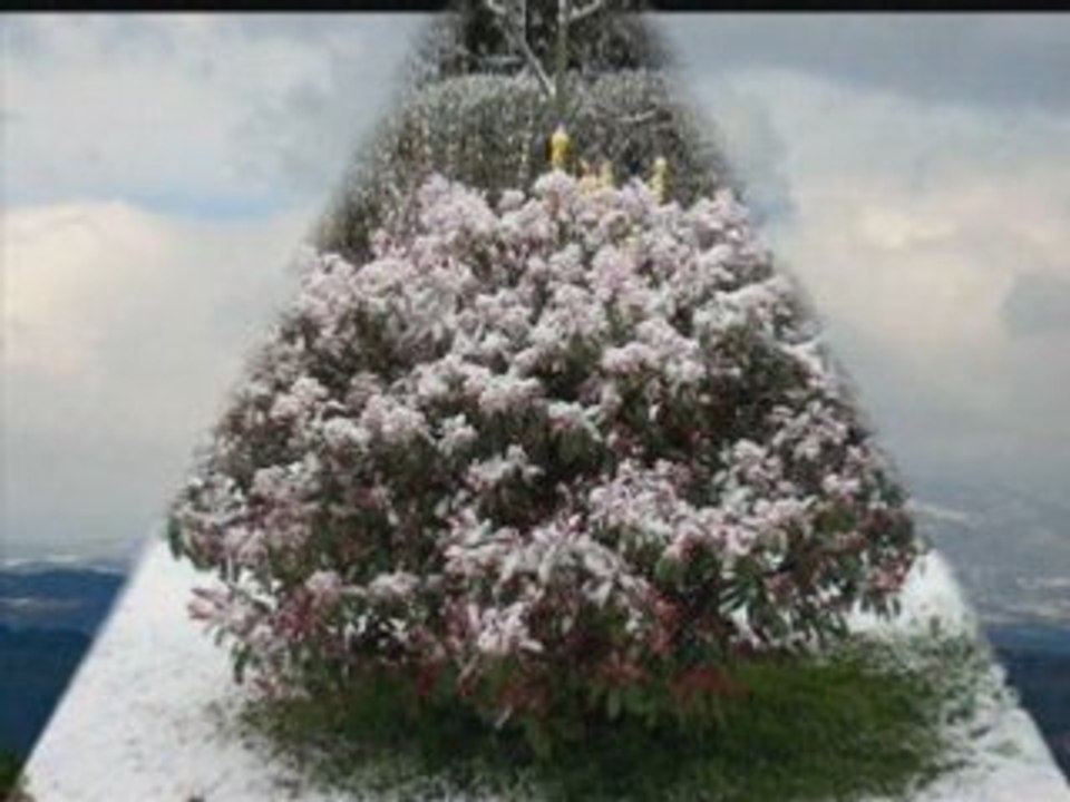 Pâques ou Noël