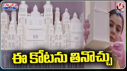 World Record For Artist Prachi 200 Kgs Palace Cake _ V6 Weekend Teenmaar