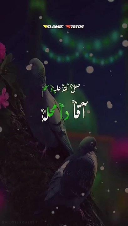 Beautifull naat states#naatsharif #naatstatus