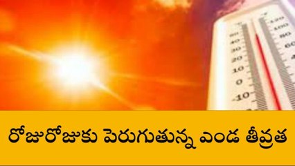 నెల్లూరు జిల్లా: ఇవేం ఎండలు బాబోయ్... ప్రాణాలు పోతున్నాయ్!