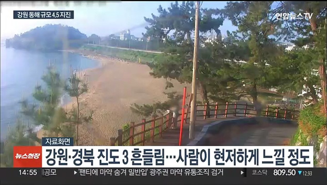'연쇄지진' 동해서 규모 4.5 지진…올해 가장 큰 규모
