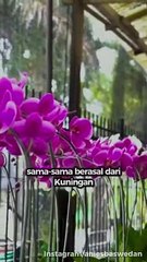 Kisah Cinta Anies Baswedan dengan Fery Farhati, Sama-sama dari Kuningan