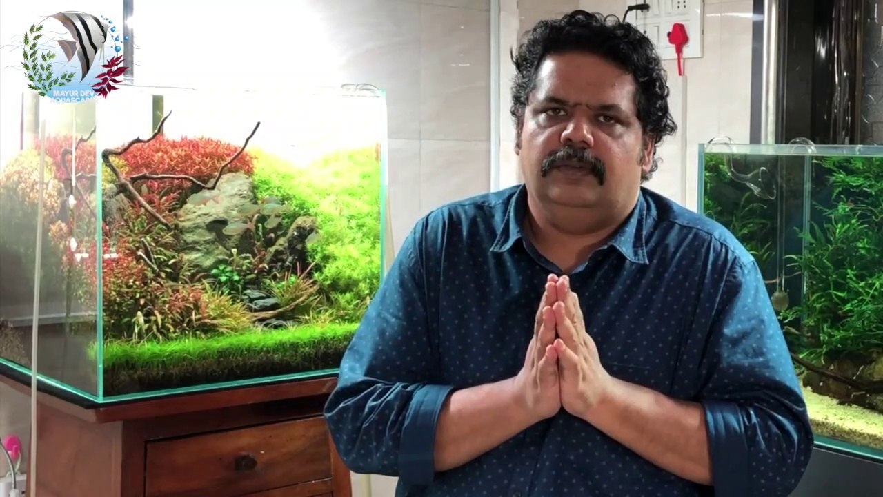 Tamil _ How to Make a Planted #Aquarium, Beginners _ மீன்வளத்தை உருவாக்குவது எப்படி _ Aquarium plant