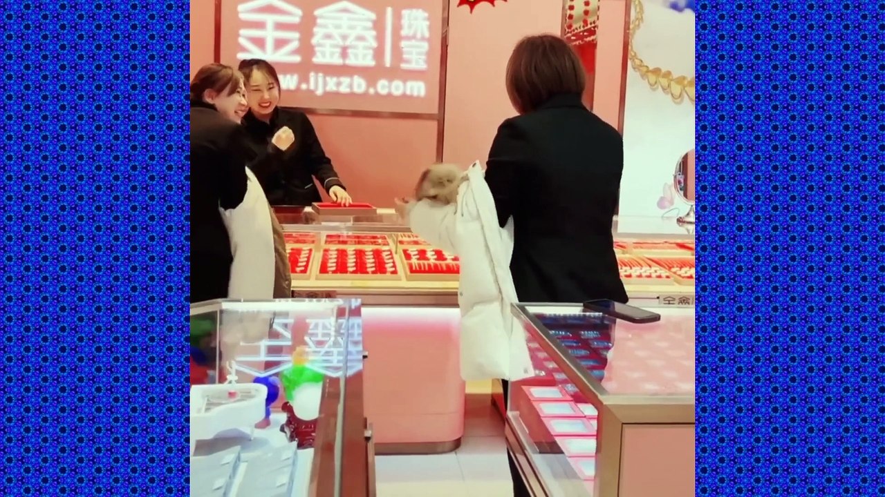 Aww Funny New Amazing Funny viral videos 20223