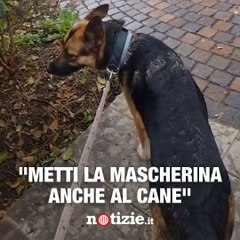 "Al supermercato mi han detto: 'Metti la mascherina anche al cane'"
