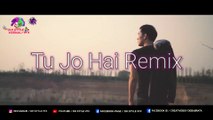 Tu Jo Hai Remix | Mr X | DJ Lemon X VDJ DH Style