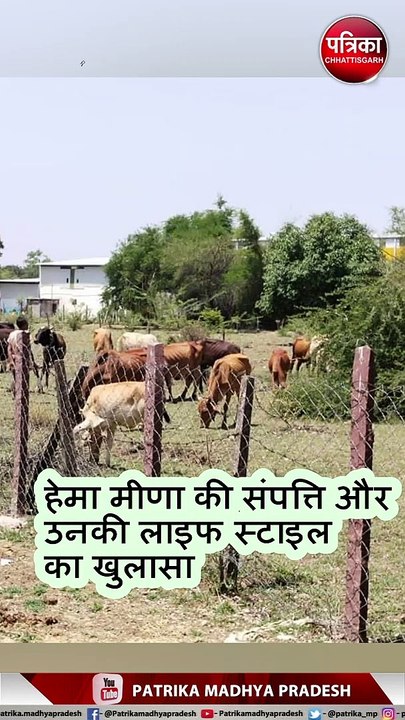 इंजीनियर हेमा मीणा के यहां लोकायुक्त का छापा