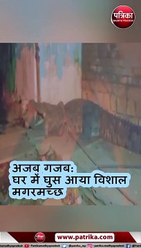 घर वालों ने 10 फीट के मगरमच्छ को रस्सी से बांधा