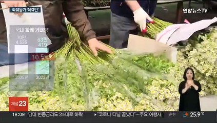 "스승의날 특수는 옛말"…화훼농가 '직격탄'