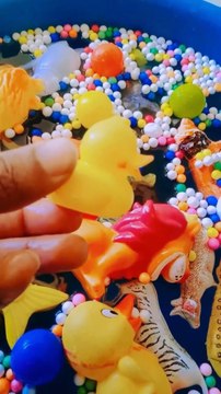 The Best Toys for Kids, Animal Toys #shorts #toysforkids #viralshorts