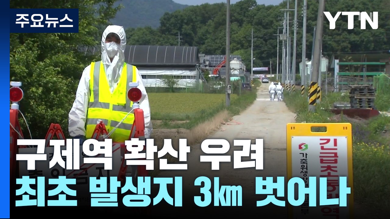 충북 증평에서도 구제역 확진...방역대 벗어나 '전국 확산 우려' / YTN