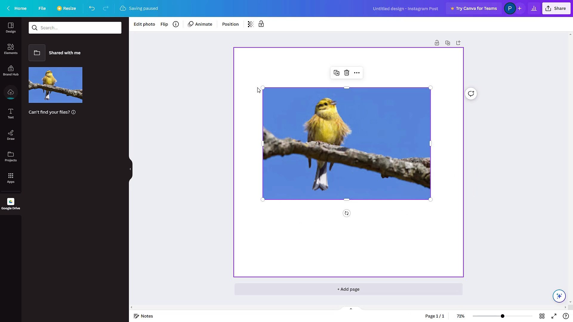 Canva Course Section 66 Uploading Contents Directly from Cloud Drives