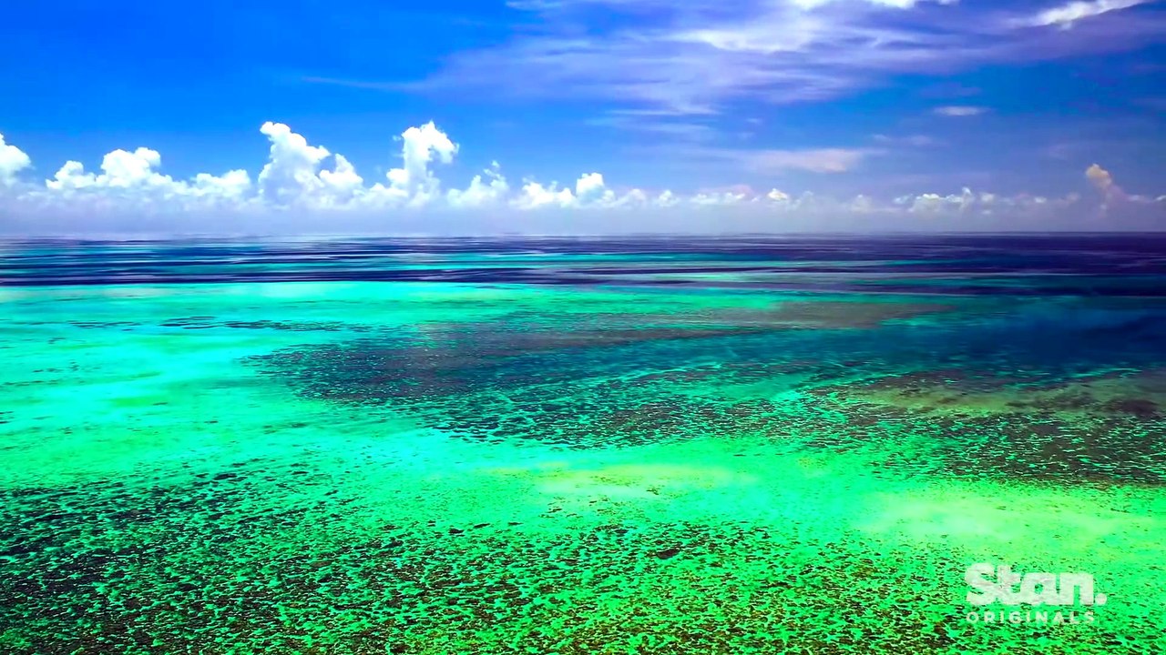 Revealed Reefshot Trailer