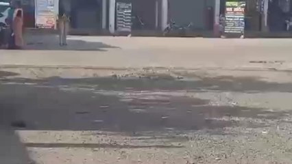 चंदेरी: सड़के खराब होने से हो रही परेशानी, जिम्मेदार अधिकारी नहीं दे रहे कोई ध्यान