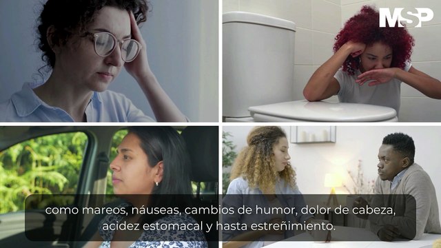 Las etapas del embarazo y el proceso de gestación - #MicrodocumentalMSP