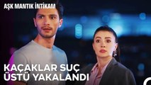 Siz Burada Ne Yapıyorsunuz - Aşk Mantık İntikam