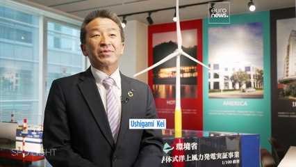 Grüne Revolution: Japan baut Taifun-stabile Windparks