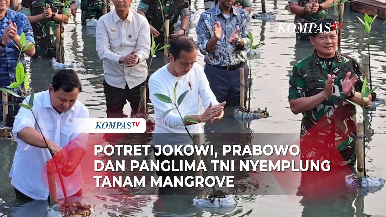 Potret Jokowi, Prabowo dan Panglima TNI Nyemplung Tanam Mangrove