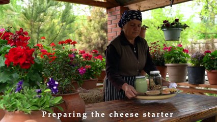 Fresh Sheep Milk - Making Traditional Caucasus Cheese
