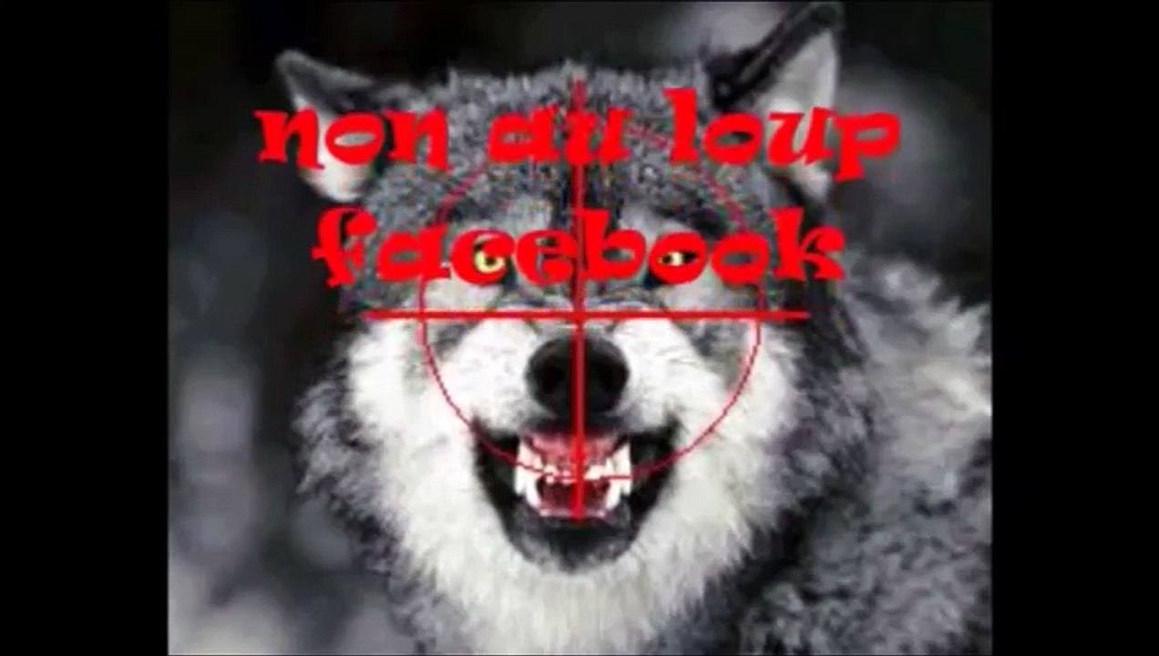 11.Avez vous l'impression que votre metier sert a nourrir le Loup