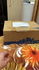 Un chat en boite de nuit...