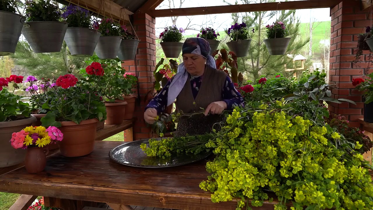 The Wild Mustard Greens_ Prepare and Cooking