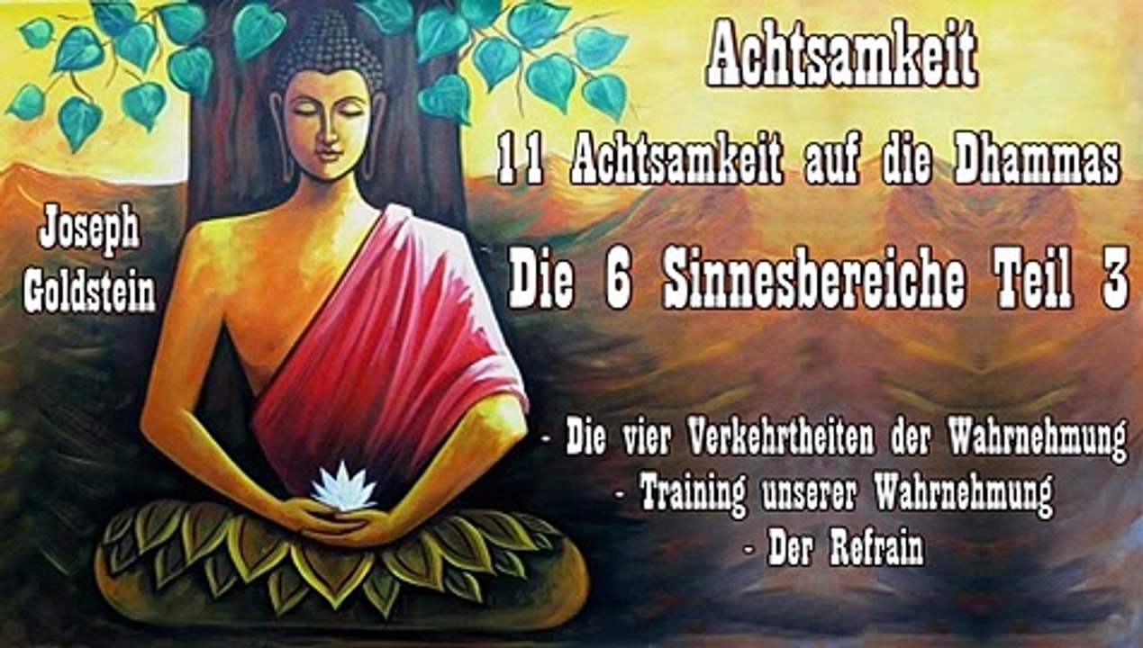 Achtsamkeit 11: Achtsamkeit auf die Dhammas - Die 6 Sinnesbereiche 3: Die vier Verkehrtheiten der Wahrnehmung