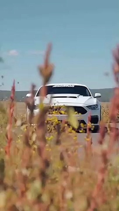 - Ford Mustang_480p shorts#