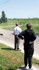 Firefighters Use Water Hydrant To Rescue Cat From Tree