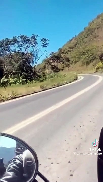 Inhumano: Lanzan a un cachorro de un vehículo en movimiento en Coroico, moto capta el hecho en video