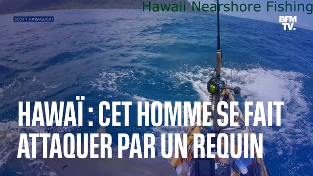 Hawaï: il se fait attaquer par un requin alors qu’il pêche sur un kayak