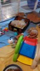 Turner Falls Asleep Anywhere