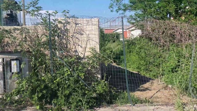 San Giuliano Milanese, ciclista di 78 anni travolto e ucciso da un mezzo pesante