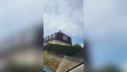 English Heritage castle has been forced to shut after a swarm of bees terrorises town