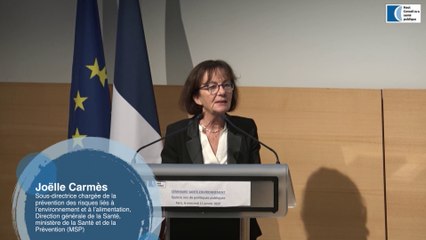 Introduction par Joëlle Carmès et Philippe Bodenez