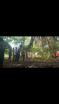 200 year old banyan tree burnt in fire for 9 hours in sagar mp