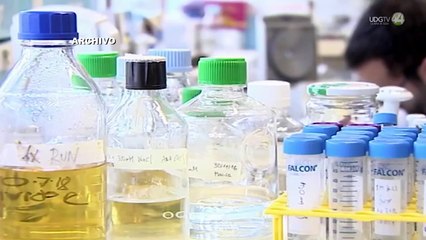 Siete de cada 10 pacientes de Mpox en Jalisco tenían VIH sin saberlo