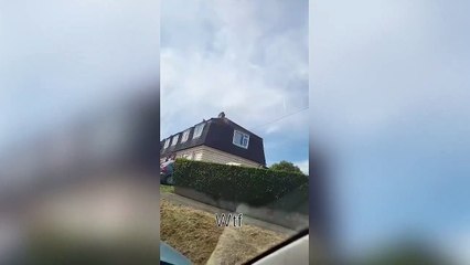 Swarms of bees in Cornwall