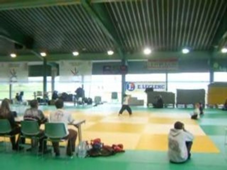 Trophee de la porcelaine Limoges 2008 Julia