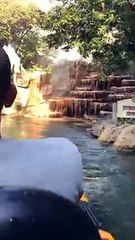 Artificial Dinosaur  horror museum