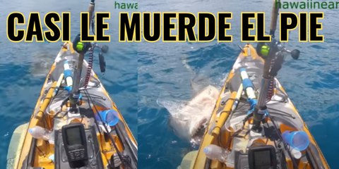 Pescador capta terrorífico ataque de tiburón en Hawaii | EXPRESO